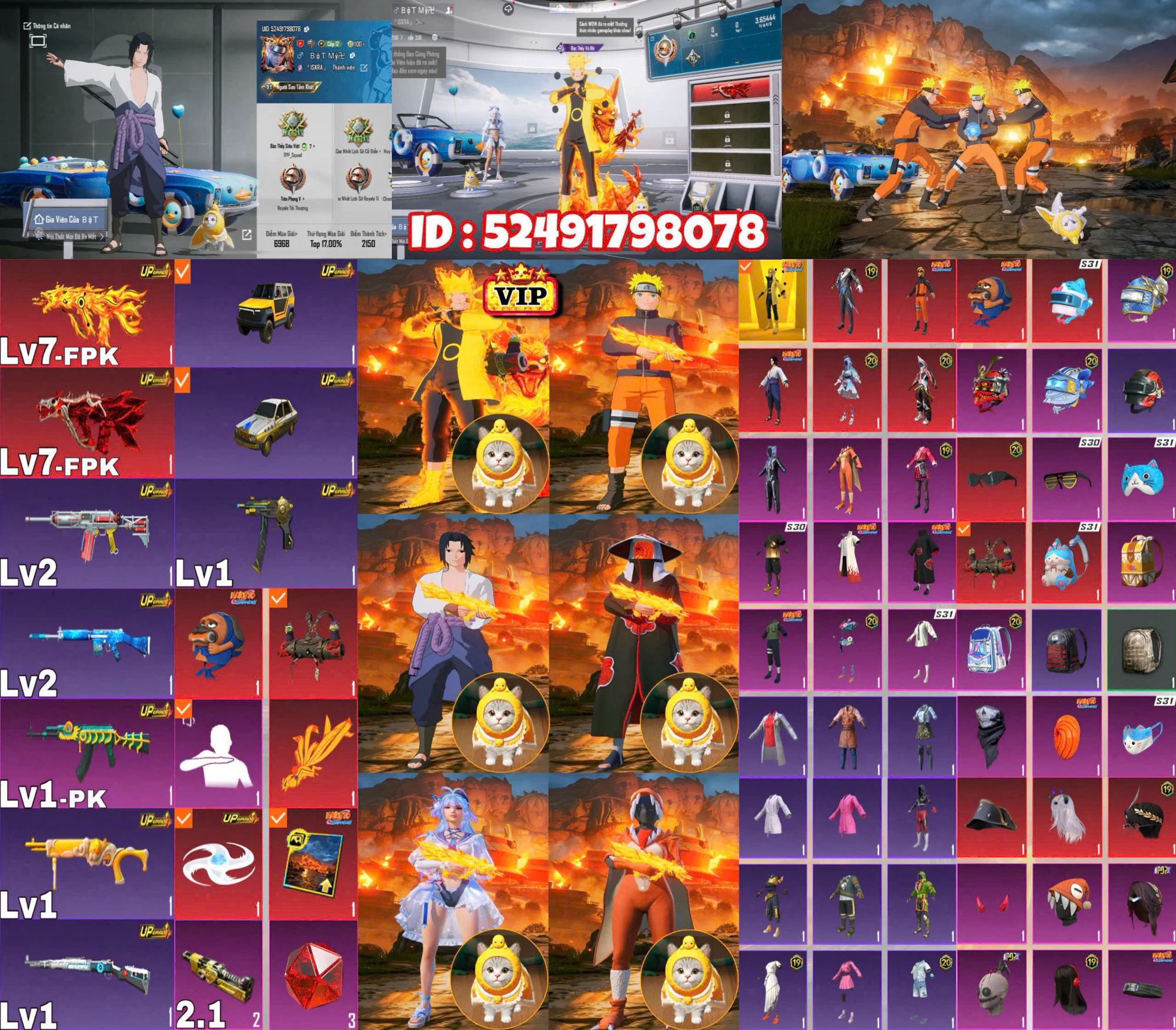 Ảnh tài khoản mã 293